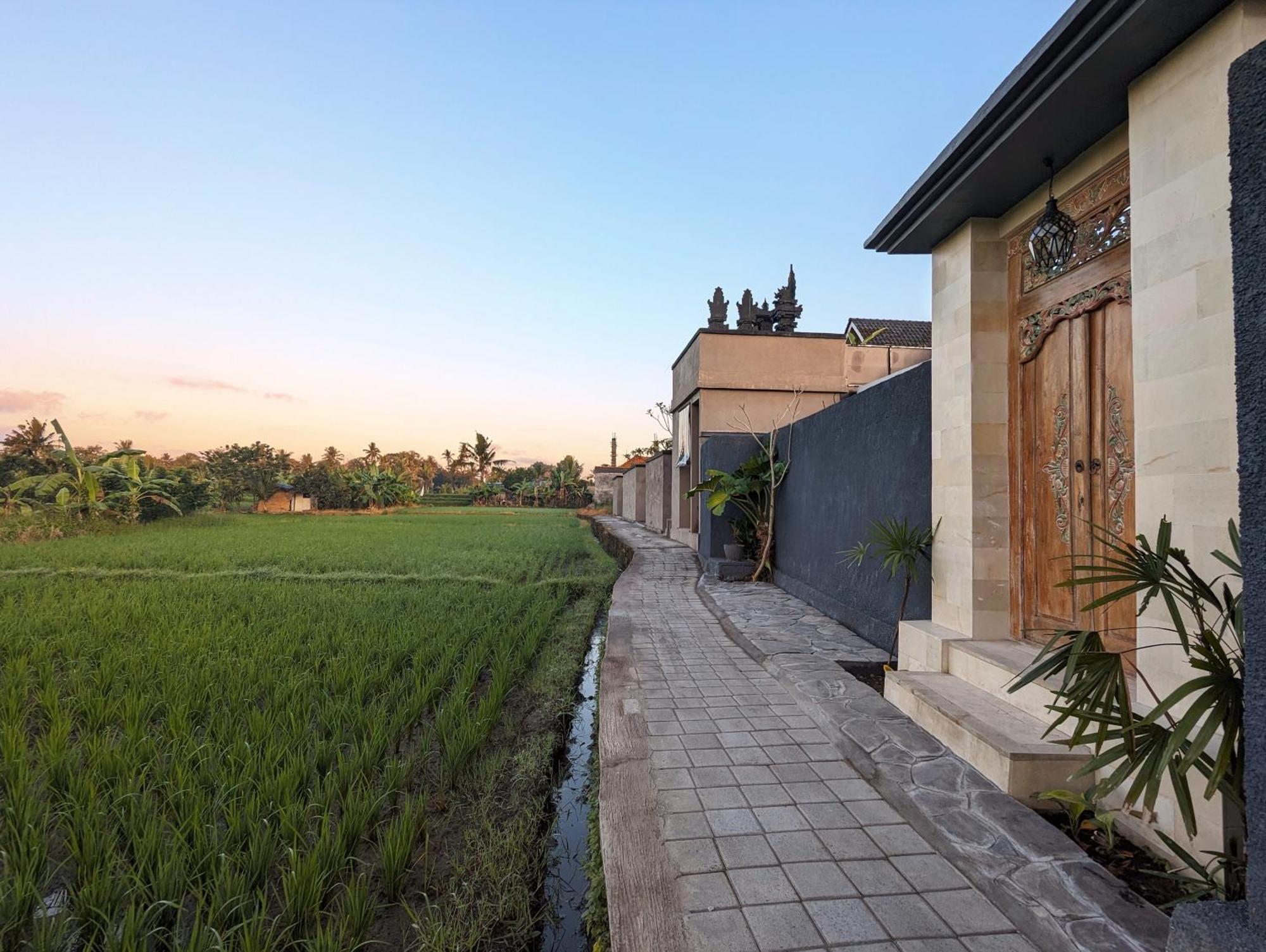 Villa Na-Na Ubud Екстер'єр фото
